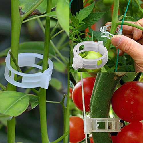 50/100pcs Reusable 25mm Plastic Plant Support Clips clamps For Plants Hanging Vine Garden Greenhouse Vegetables Tomatoes Clips