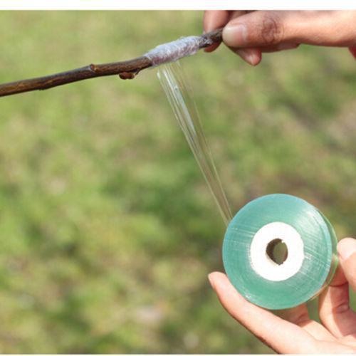 Eco-friendly Grafting Tape for Garden Branch Strapping